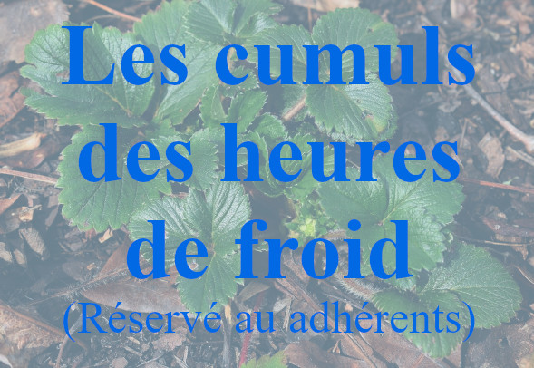 Heures de froid