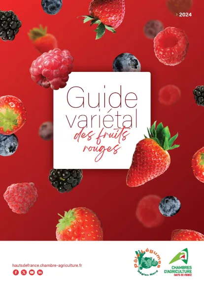 guide varietal